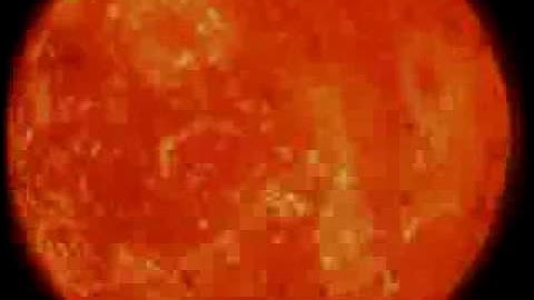 Bipolar Planetary Nebula Animation: A Giant Star Swallows Its Companion