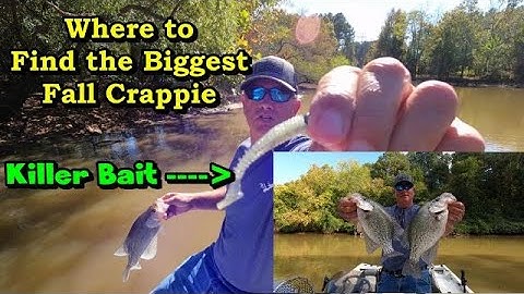 How to Catch Limits of Fall Crappie/ How to use 2D sonar to find Crappie in Creeks