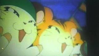 Hamtaro Birthday Special Commercial Cartoon Network.