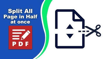 How to split all pages in half at once in PDF XChange Editor