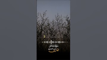 قران كريم لأ تهرب بلأ أسمع صوت خاشع يتلو #يارب #القران #راحة_نفسية