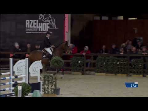 The Lewis vh Heidehof @ Final Belgian Stallion competition 5yo