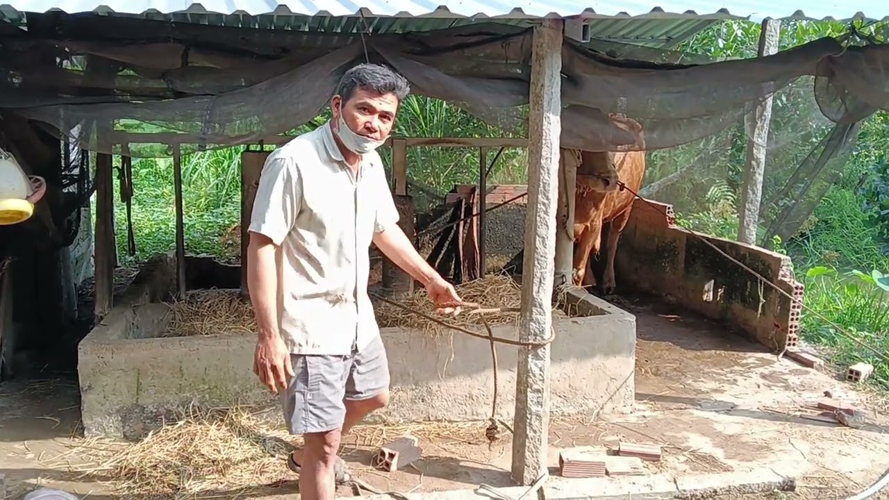 Tiếp xe lôi lòng trong đường nhỏ ra thật chua