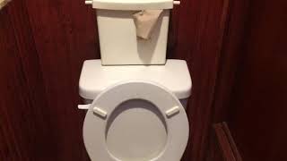 Final Flush Of 2013 NoFlo ProFlo Toilet Prior To Removal