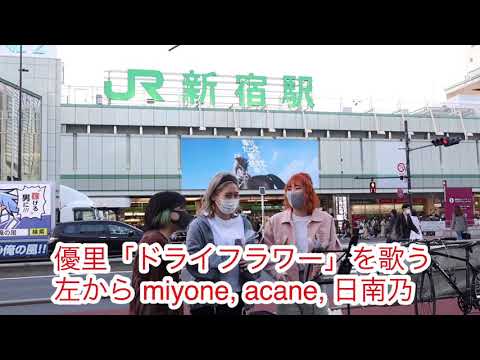 優里「ドライフラワー」を歌う、左から miyone, acane, 日南乃 #優里 #ドライフラワー #miyone #acane #日南乃