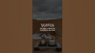 سعد الغامدي سورة الزمر Saad Al Ghamidi Surat Al Zumar