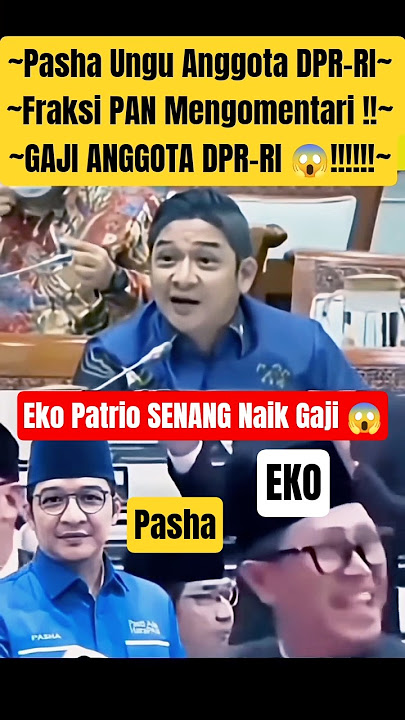 Pasha Ungu DPR-RI PAN Faction Comments on DPR-RI Members' Salaries #pashaungu #dpr #prabowo