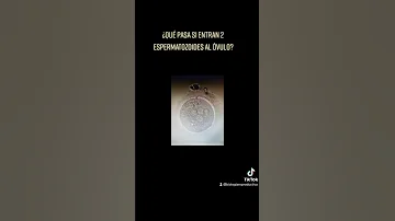 ¿Qué ocurre si dos espermatozoides diferentes entran en el óvulo?