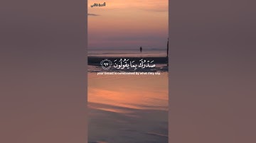 تلاوة عطرة للإمام علي جابر رحمه الله . #علي_جابر #fyp #قرآن #تلاوات