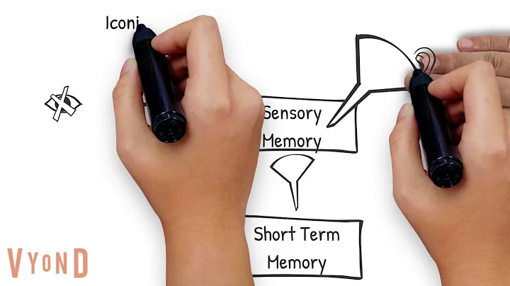 Information Processing Theory Explained