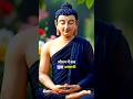 Let go of attachment find inner peace | मोह छोड़ो वर्तमान अपनाओ Buddha wisdom 🧘 | #shorts #buddhism