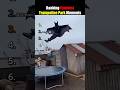 Why gravity always wins on a trampoline 🛑 Part 3