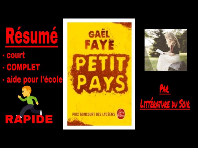 Petit Pays Gael Faye Résumé lilys.ai