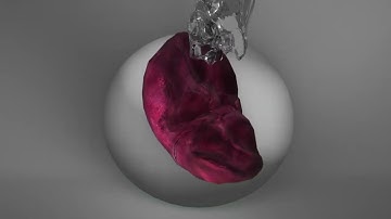 T-Filler Autimatic Formalin Dispenser and Thermal Sealer