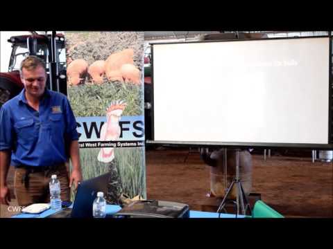 Dan Murphy on Beef Breeding Basics