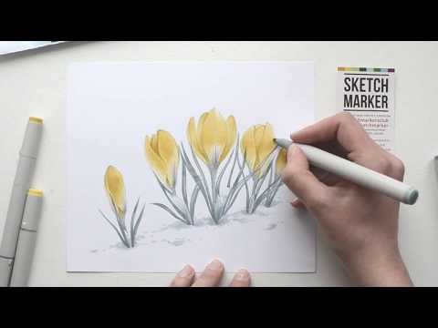 Рисуем крокусы спиртовыми маркерами SKETCHMARKER