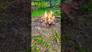 Burning Some Old Fence