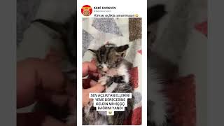 Kimse Açlıkla Sınanmasın🥲