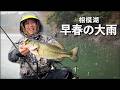 歓喜。早春の相模湖に暖かい雨が降ったので・・・【相模湖】