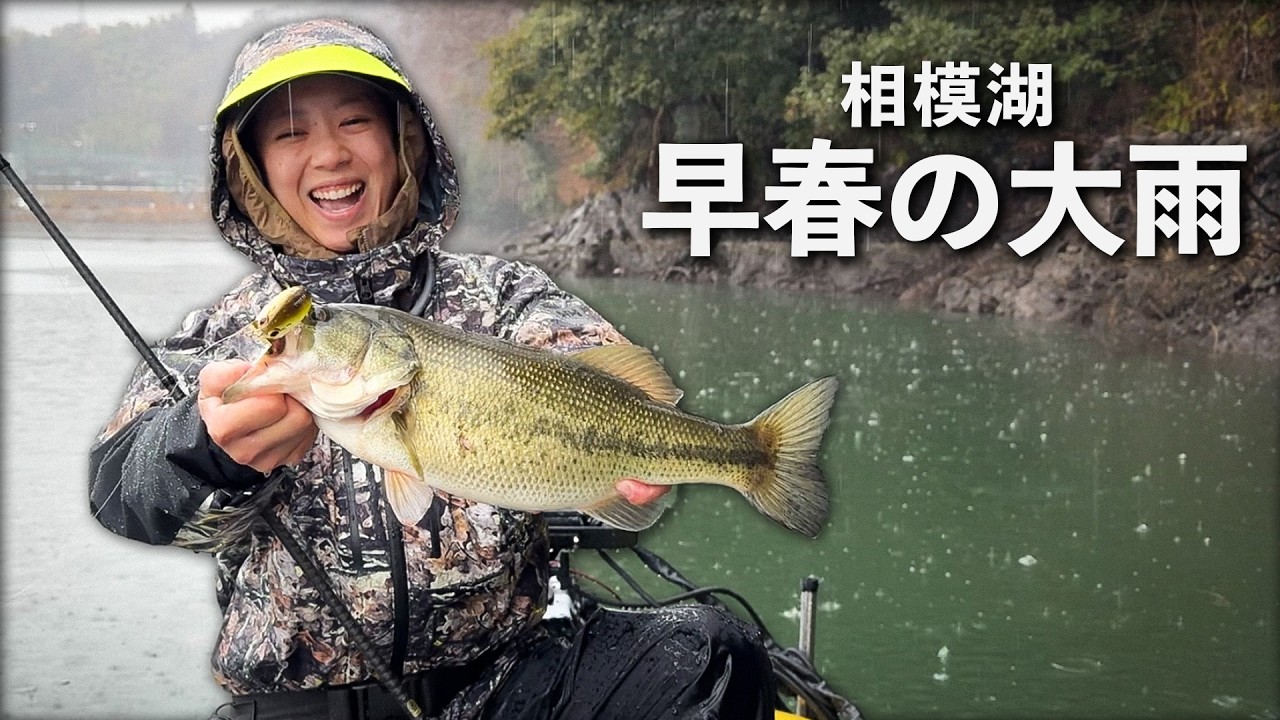 歓喜。早春の相模湖に暖かい雨が降ったので・・・【相模湖】
