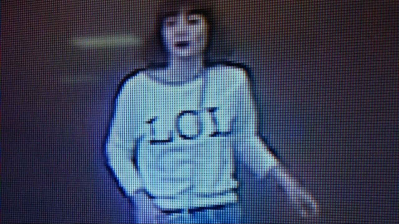 Kim Jong Nam assassination: Female suspect under arrest