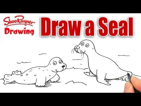 Come disegnare un sigillo e un leone di mare