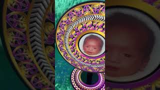 WW903 - The Statement - Maori & Tongan