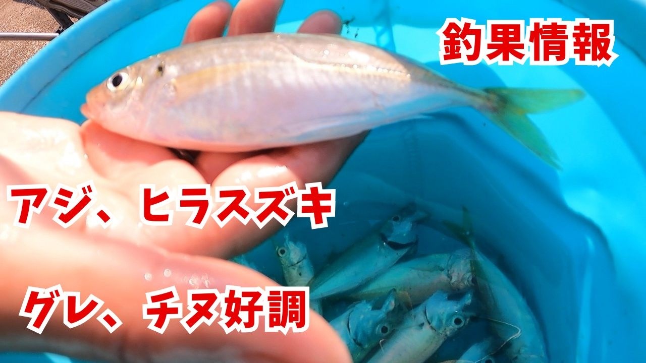 Fishing Report: Miyazaki Port, June 10-12] Large fish including