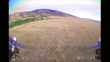 Devs Fly Too (EmuFlight)