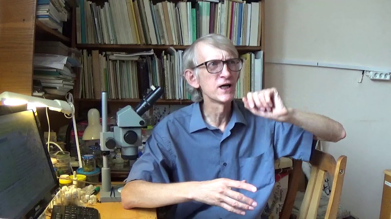 ПРОФЕССИЯ ЭНТОМОЛОГ, ИНТЕРВЬЮ ПРО ЭНТОМОЛОГИЮ. Dr Victor Fursov Interview about Bees & Entomology