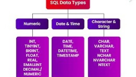 🗃️ SQL Data Types Explained | Learn SQL for Beginners 💡