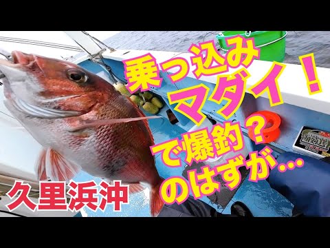 【乗っ込みマダイ】爆釣のはずが…｜コマセ釣り｜東京湾｜2024.4.21