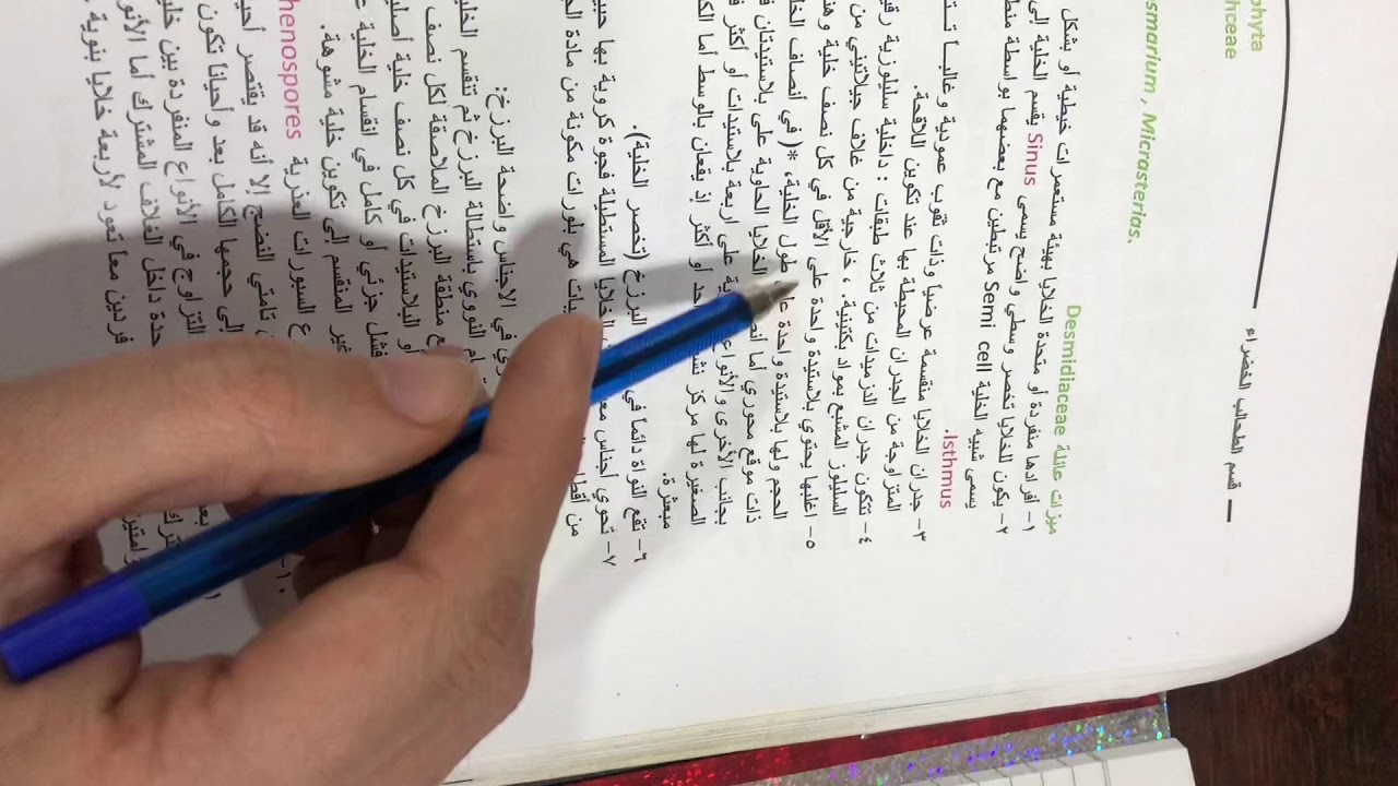 محاضره الطحالب عملي / عائلة Desmidiaceae