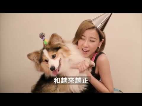 Vincy 泳兒 - 慶祝狗狗 Batman 3 歲生日會！