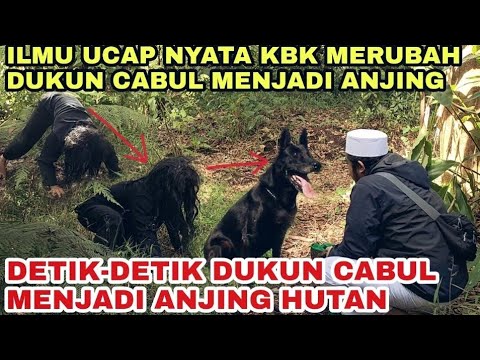 Viral!!! Dukun santet berubah jadi anjing di kutuk seucap nyata