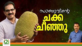 Twenty20 Party | സാബുവിന്റെ ചക്ക ചീഞ്ഞു