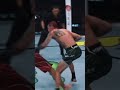 #ufc #mma #edit #knockout #seanomalley #jjkgame #helpmemakethismakesense #ishowspeedwannabe