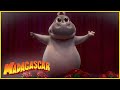 Gloria es una super estrella | DreamWorks Madagascar en Español Latino