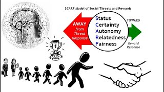 Celebrity SCARF Model by David Rock  |  Neuroscience  |  Improving Employee Engagement Profile