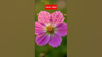 #سورة _الملك#القرآن_الكريم #المصحف #اكسبلور #لايك