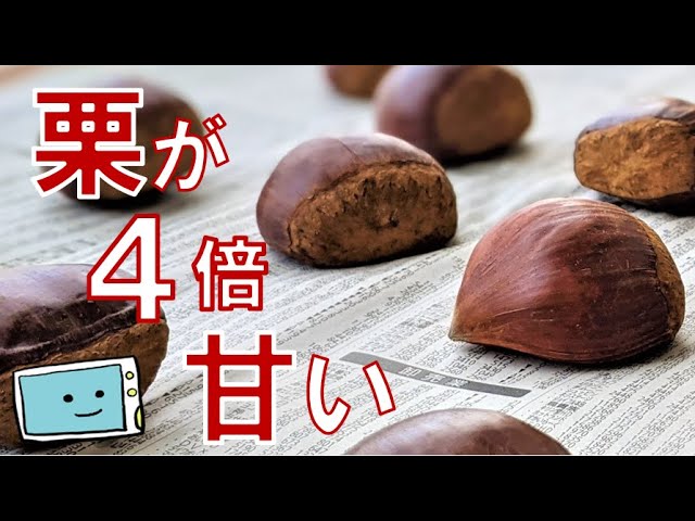 YouTubeチャンネル『レンチン食堂』の動画サムネイル
