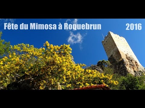 Видеоролик: Фестиваль мимозы