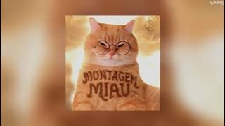 Montagem Miau (Slowed)
