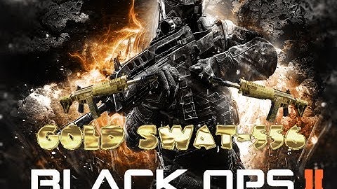 Call of Duty Black Ops 2 - GOLD Swat 556