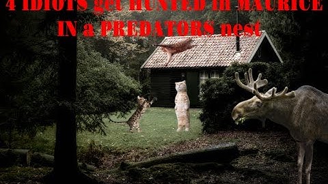 4 IDIOTS get HUNTED in MAURICE in a PREDATORS nest