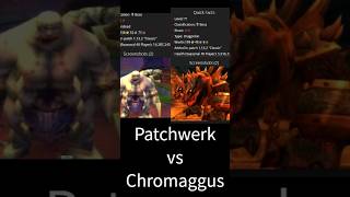 Patchwerk vs Chromaggus. #stats test #Naxx #bwl  #worldofwarcraft @Big-Troblemaker