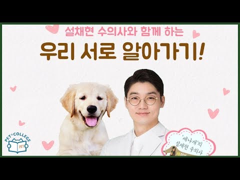 설채현 <strong>수의사의</strong> 동물행동학 강의 no.2/8 - 6차공개강의