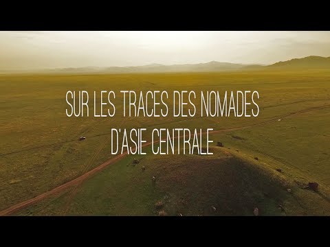 Vidéo: Paysage naturel. Steppes forestières et steppes