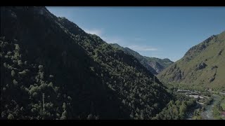 Lamiflex Short Version