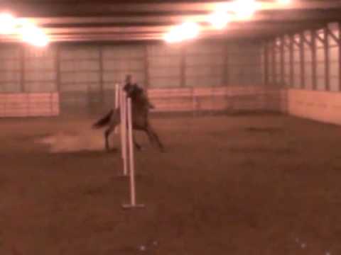 Moon loping poles 2nd time thru - YouTube